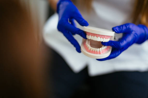 Trusted Ladson, SC Holistic Dental Care Services Experts